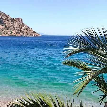 דירה Apartment Antikyra אנטיקירה